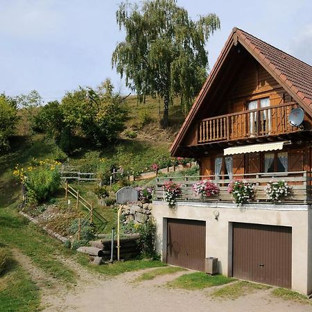chalet-gite berbuche Sainte-Croix-aux-Mines Exterior foto